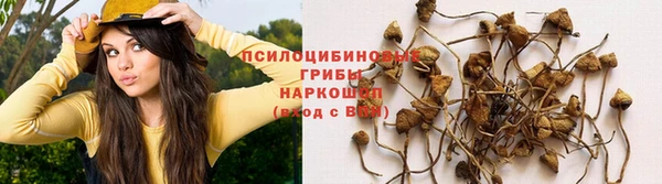 дмт Баксан