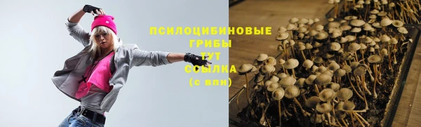 apvp Балахна