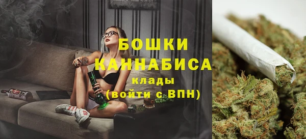 сатива Бородино